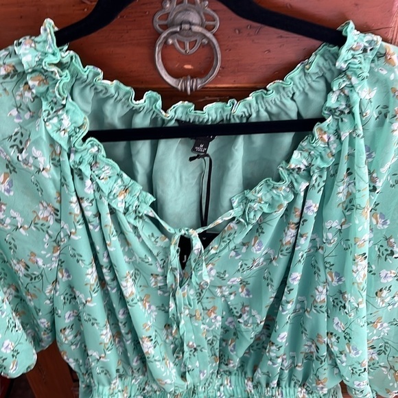 NWT J.NNA Women’s Light green And Coral Floral Dress, Size Medium. - Picture 7 of 8